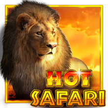 เล่นสล็อตเว็บตรง Hot Safari สูตรสล็อตHot Safari