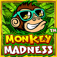 เล่นสล็อตเว็บตรง Monkey Madness สูตรสล็อตMonkey Madness