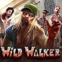 เล่นสล็อตเว็บตรง Wild Walker สูตรสล็อตWild Walker