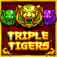 เล่นสล็อตเว็บตรง triple tigers สูตรสล็อตtriple tigers